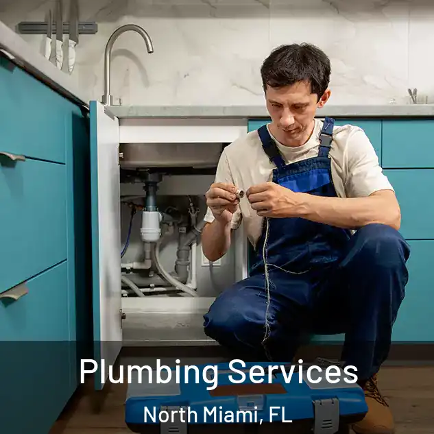 Plumbing Services North Miami, FL
